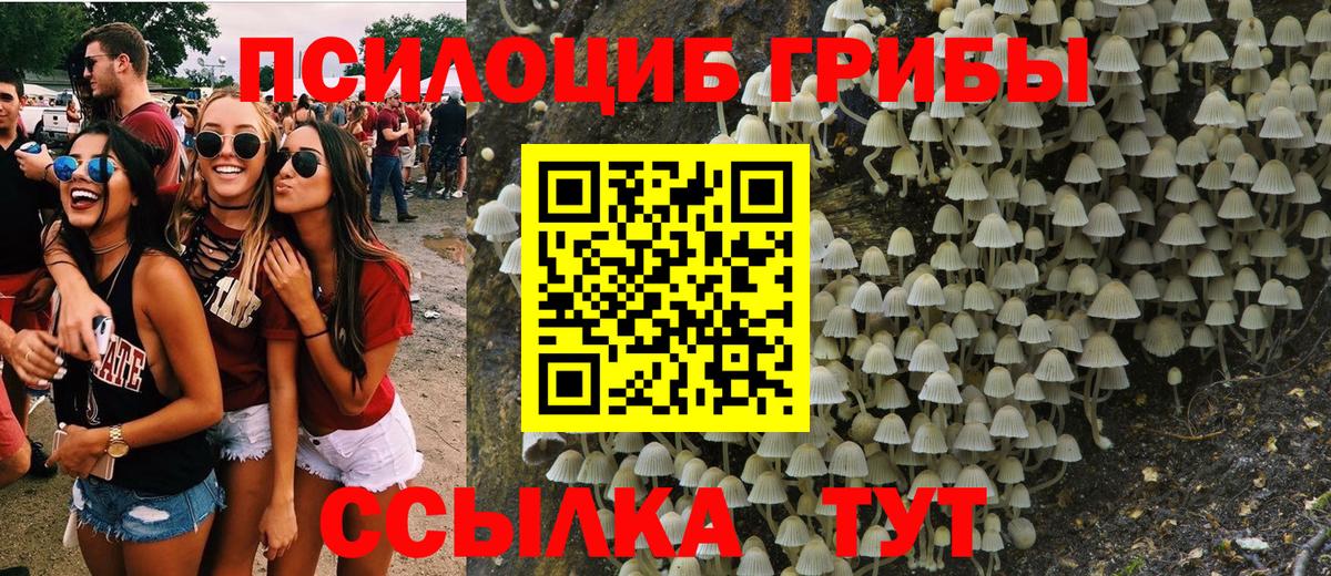 Галлюциногенные грибы GOLDEN TEACHER Новосибирск