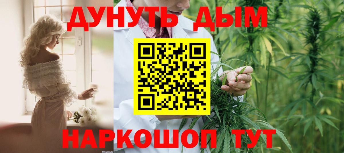 Шишки марихуана семена Новосибирск
